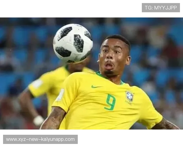 南非防守反击稳健，成功晋级下一轮，南非fal