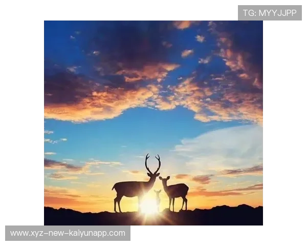 拳击躲闪后反击重拳命中：成功的秘诀，打破人生困境！